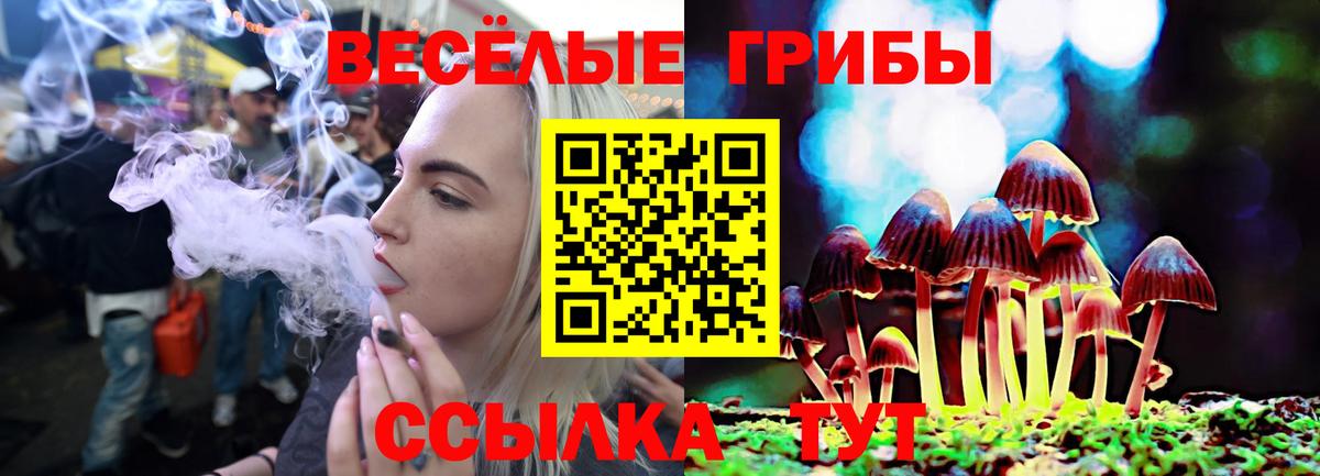 Псилоцибиновые грибы прущие грибы Топки